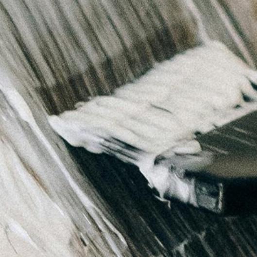 Color + Weft Extensions VIP MEMBER